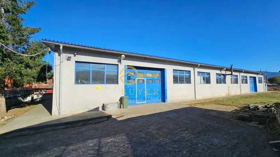 Hala industriala de inchiriat in Talmaciu- 175 utili- pret atractiv - Poză 2