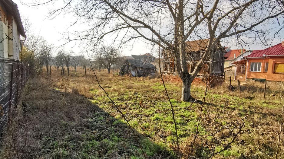 Teren generos vatra veche Dumbravita - Poză 1