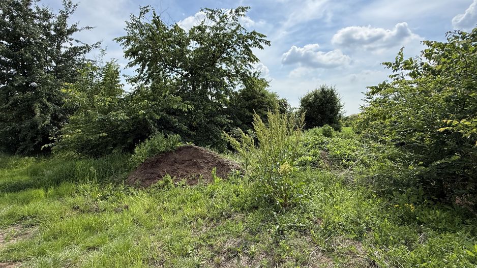 Teren intravilan 498,02 mp langa pădure , strada privata Corbeanca - Poză 7