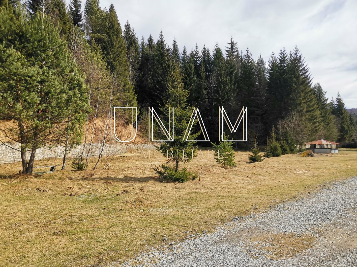 ***OFERTA NOUA*** Teren lângă Scenă, în Poiana Lupului, Gărâna - Poză 20