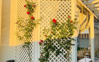 Casa individuala | 216 mp utili | Teren 500 mp | Veterani - Poză 2