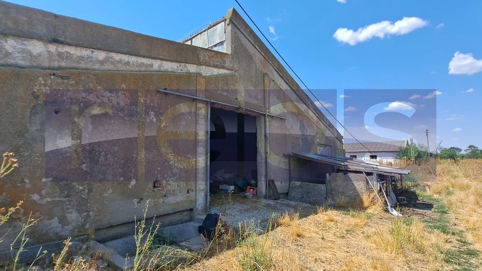 VANZARE TEREN 45.000 MP | IDEAL FERMA, HALA, PANOURI SOLARE | SACENI, TELEORMAN - Poză 4