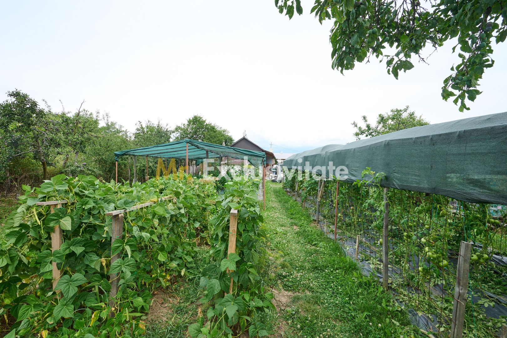 Casă cu teren generos – Vedea-Arges - Poză 34