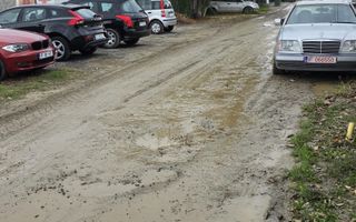 1 DECEMBRIE - TEREN 2500 MP - Poză 2