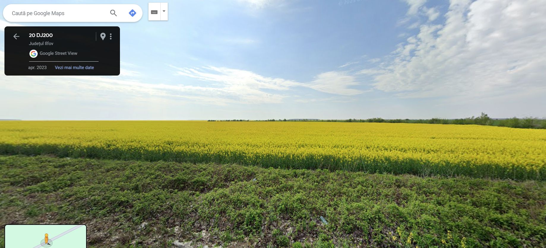 Teren 25.26ha Dascalu / DJ 200 - Poză 8