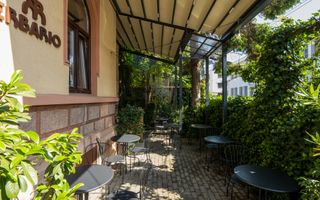 Vindem Afacerea ! Mini Hotel + Cafenea/ Restaurant ! Parcul Carol ! - Poză 11