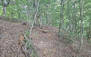 Teren extravilan  cu potential turistic - Brezoi - Poză 1