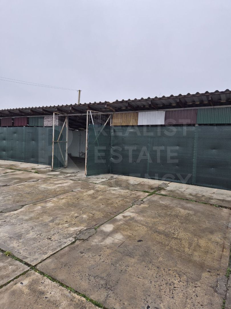 Vânzare spatiu comercial, 125 mp, sat Zgurița, r- nul. Drochia. - Poză 11