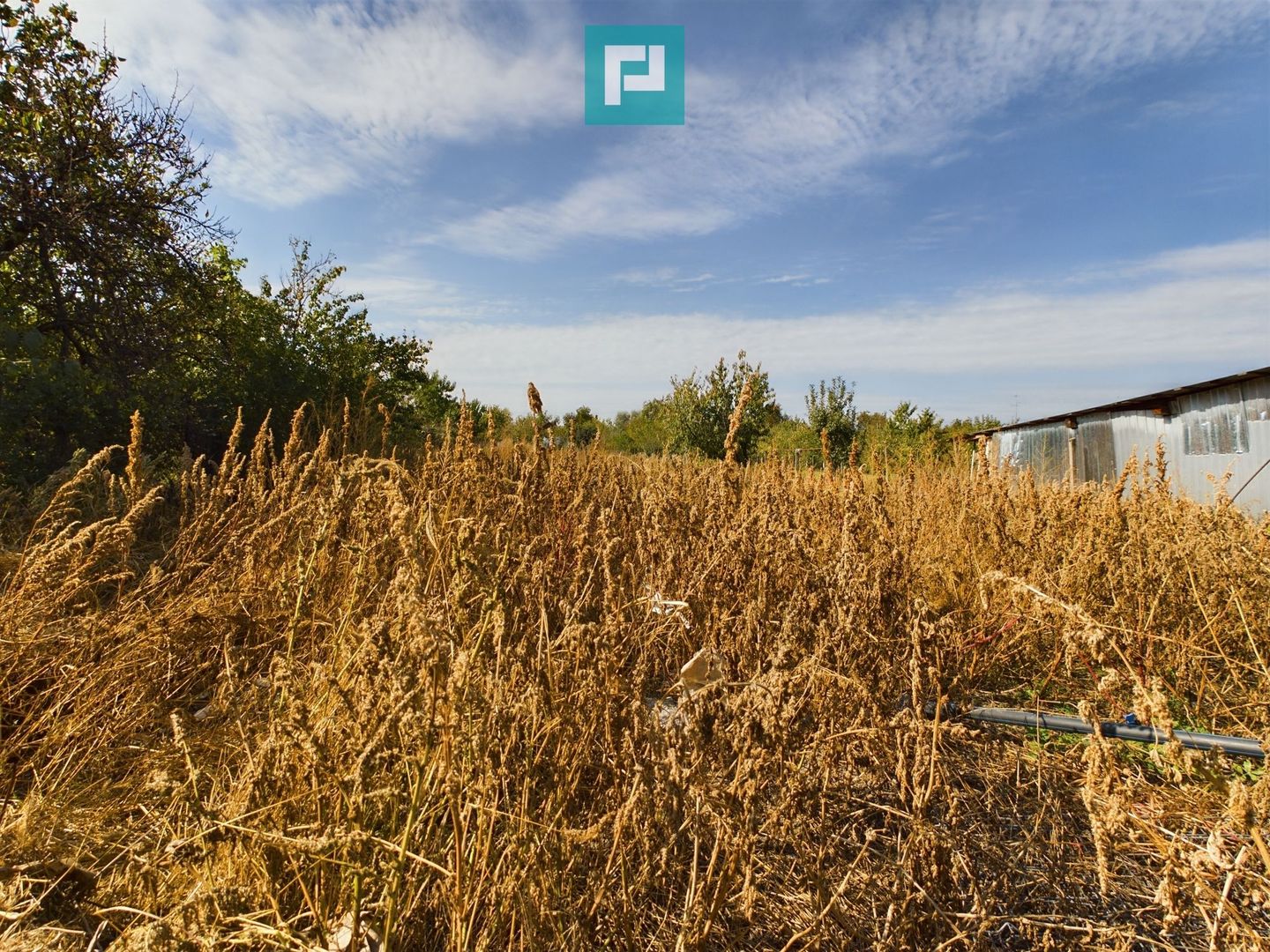 Casă 4 camere, zona centrală în Pâncota - Poză 13