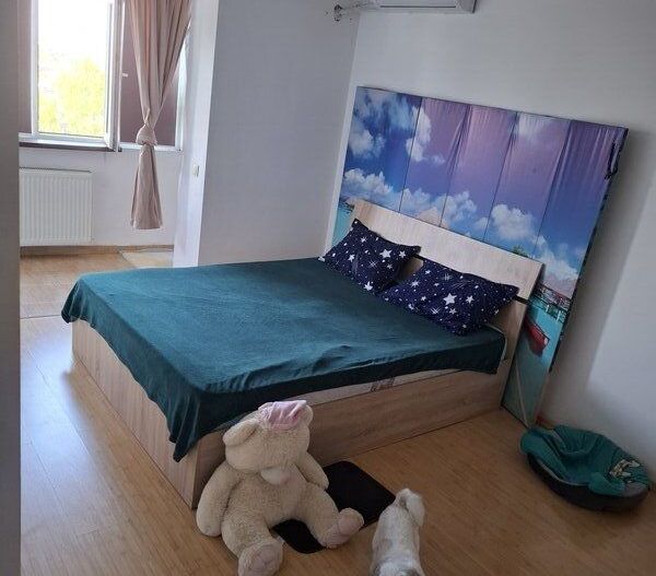 Apartament cu doua camere semidecomandat, Calea Grivitei - Poză 2