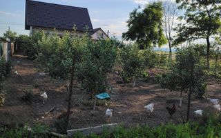 Doua Case 240 mp-teren 1328mp-livada-magazie-Cristesti Pascani - Poză 10