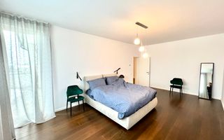 Proprietate deosebita suprafete generoase 580 mp teren 2076 mp - Poză 12