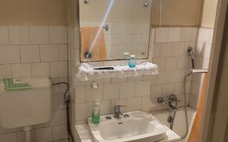 Apartament 2 camere zona Fizicienilor - Camil Ressu - Poză 4