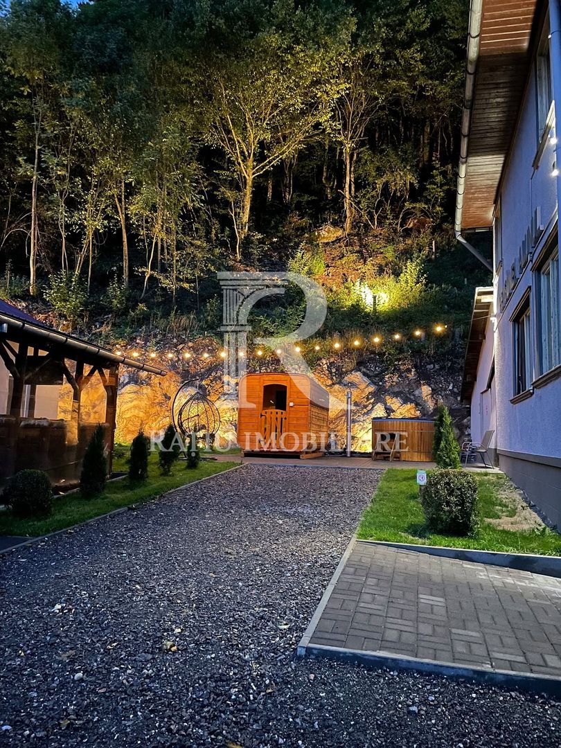 PENSIUNE DE ÎNCHIRIAT | REMEȚI | BIHOR | CIUBĂR & SAUNĂ - Poză 14
