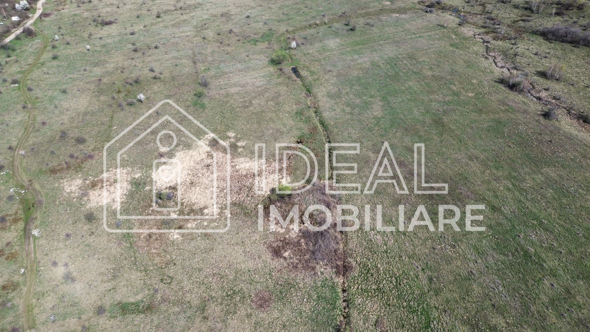 Teren 25.500 mp Valea Avrigului - Poză 4