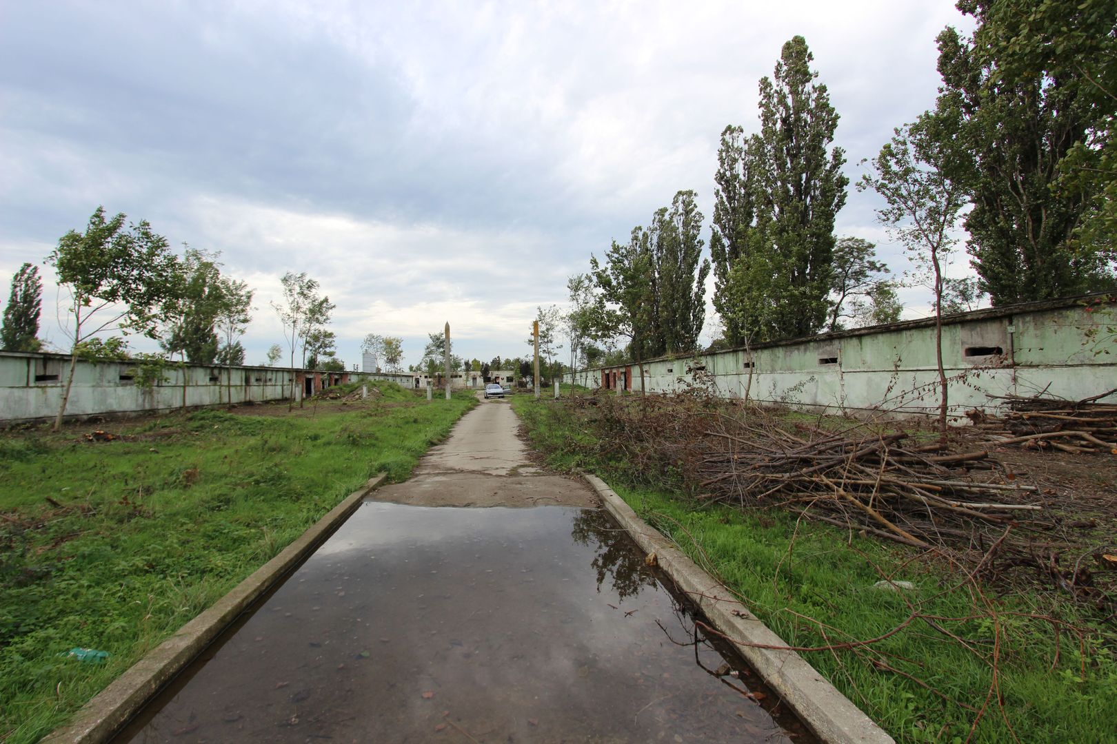 Vanzare hale Mosnita Noua-fosta Ferma 7 - Poză 39