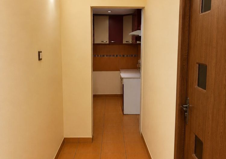 BRASADAS vinde ap 3 cam etaj 1 Burdea. - Poză 6