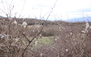 Oportunități de Investiție în Terenuri Sebesul de Sus - Poză 12