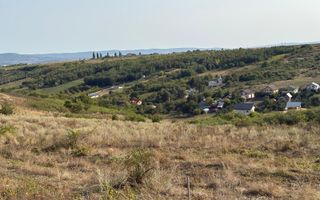 Teren Sorogari, 19000mp,  35euro/mp - Poză 5