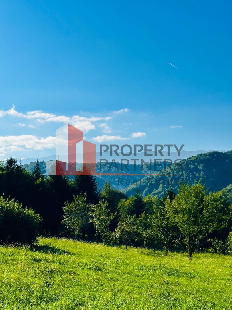 Teren de la 2772 mp Podul Simonului- Bran - Poză 13