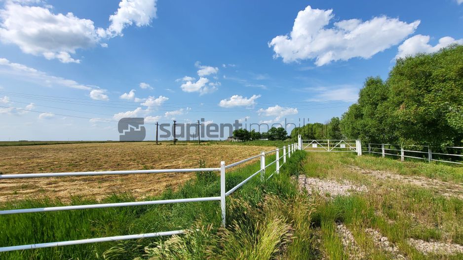 FERMA ZOOTEHNICA DE VANZARE - Poză 9