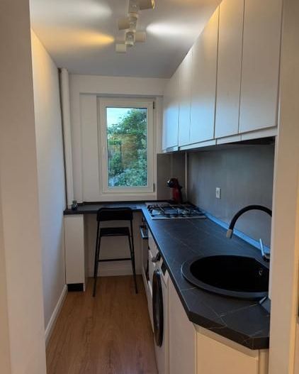 Apartament Piata Victoriei // Veronica Micle - Poză 5