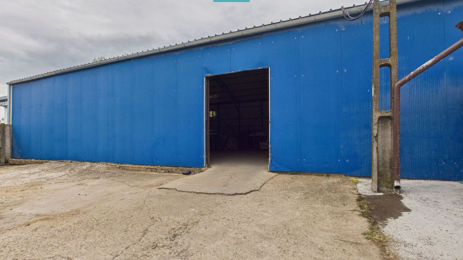 Hală versatila de 240 mp cu cameră frig în Săcălaz - Poză 1