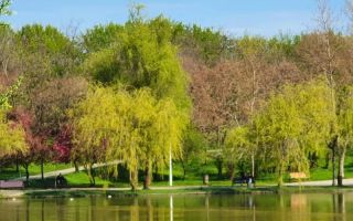 Garsoniera investitie Titan - Poză 1