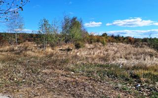 TEREN INTRAVILAN ȘI EXTRAVILAN BAIA DE FIER - Poză 6