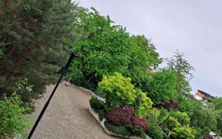 Studio Premium Erou Iancu Nicolae Pipera - Poză 10