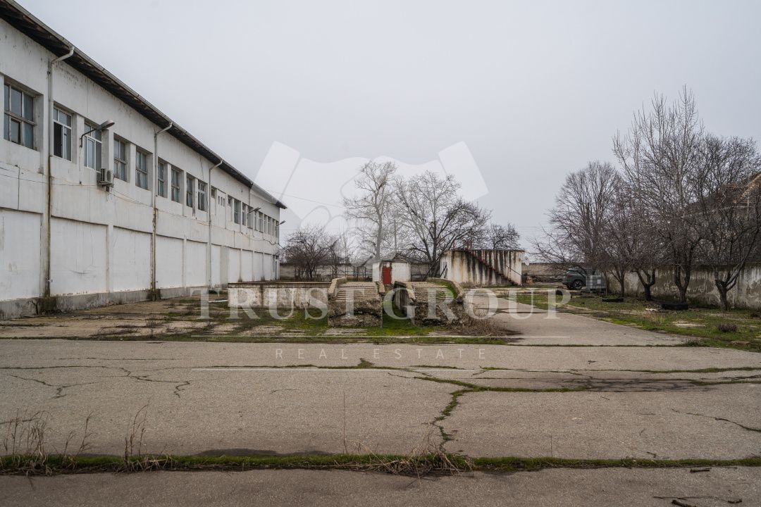 Teren 28.788m + Hale industriale + Sediu Firma - Poză 29