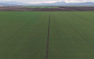 Teren de vânzare – 20.000mp – Ghimbav, lângă Parcul Industrial - Poză 12