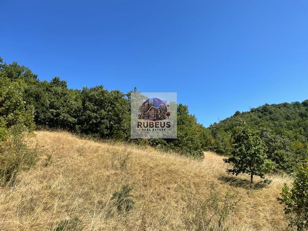 Teren intravilan 2.580 mp Eșelnița, acces DN57, ideal turism, locuinte - Poză 14