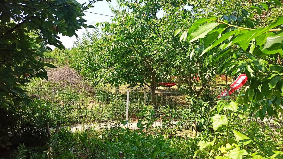 vila indiv+1198mp teren/pe DN4(sosBucuresti) in Frumusani/jud.Calarasi - Poză 68