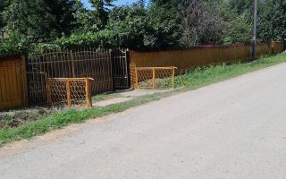 Gospodărie țărănească de vânzare cu 2 case și teren 6.700 mp, Cozia, jud. Iași - Poză 8