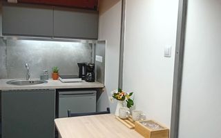 Garsonieră ultracentrală, 21 mp, ideal pt investitie, zona Ferdinand - Poză 7