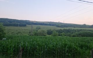 Teren intravilan 36 ari | Viile Teci | Strada Principală - Poză 5
