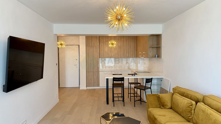 Herastrau Apartments Parc | Apartament 2 camere mobilat - Poză 1