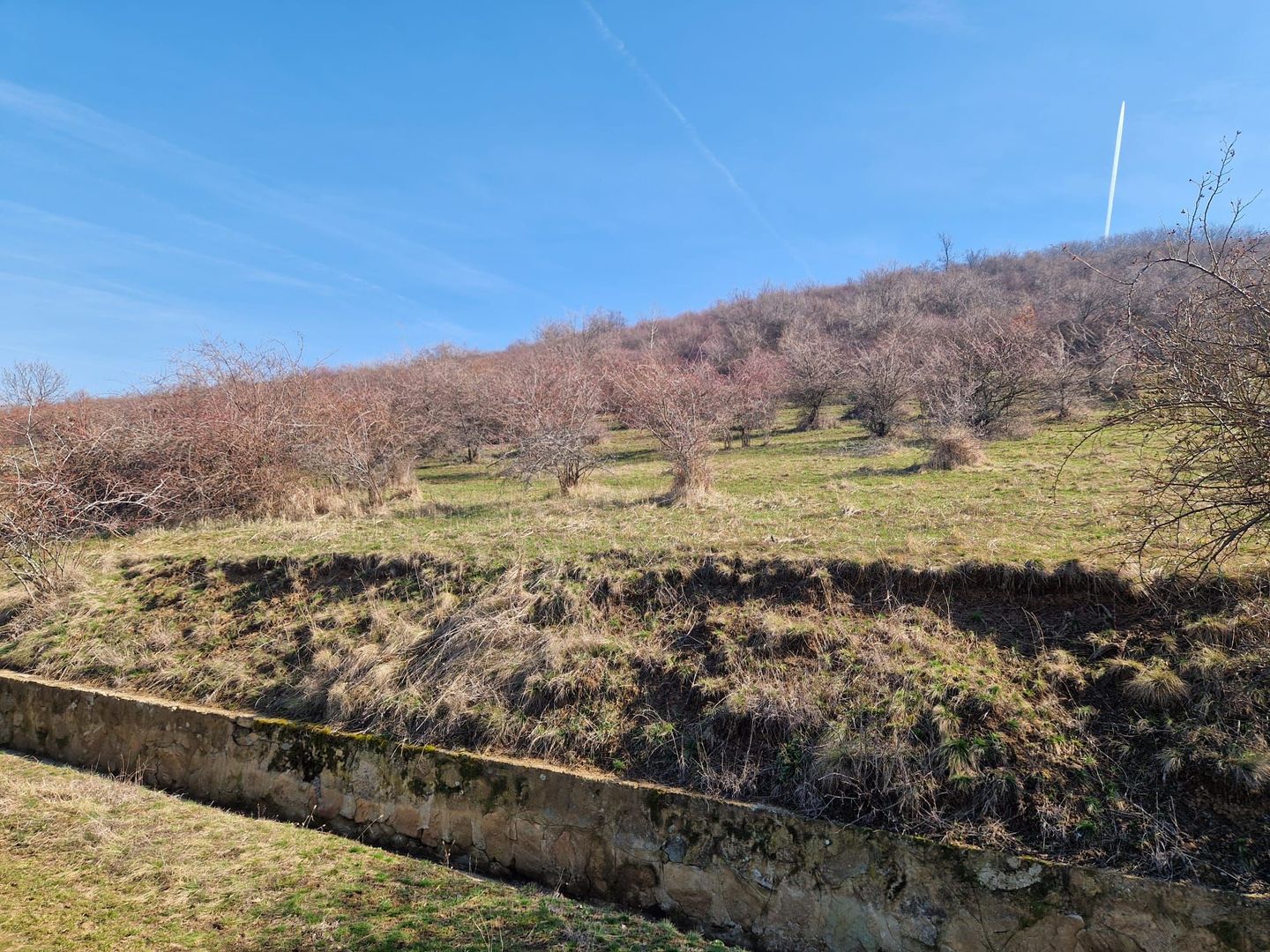 Teren extravilan,  zona si priveliste superba, Cuvin - Poză 6