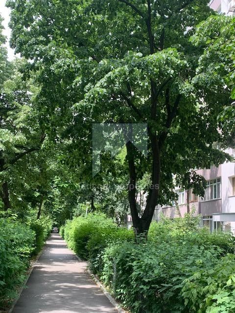 Vanzare apartament 3 camere Drumul Taberei - Tudor Vladimirescu - Poză 9