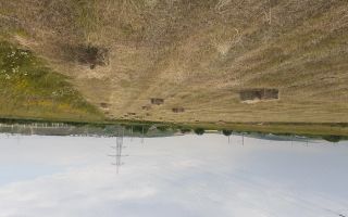 Teren intravilan de 9.000 mp în Miroslava, cu utilități la limită de parcelă - Poză 1