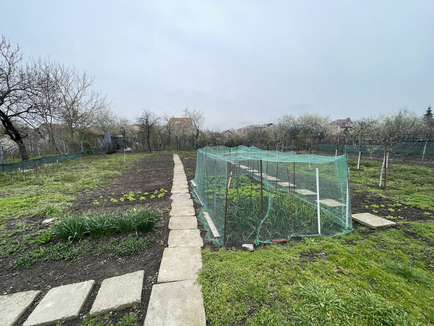 Casa de vanzare cu teren generos - Poză 12