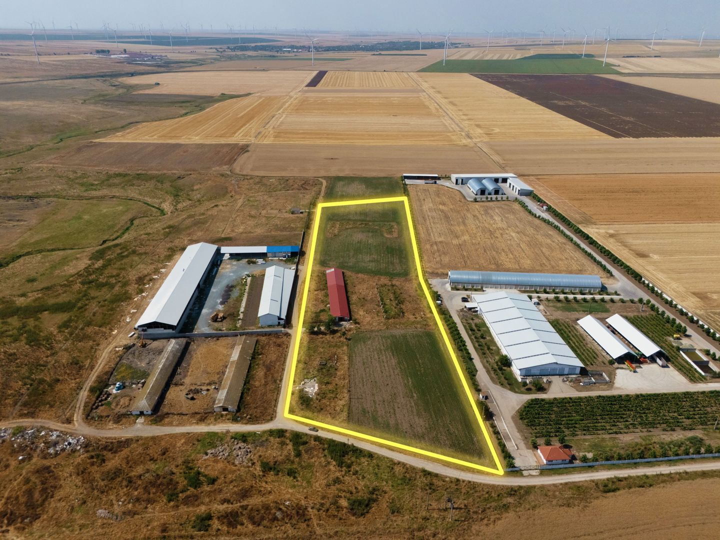 Cogealac - Tariverde – Ferma cu teren intravilan, utilitati racordate! - Poză 3