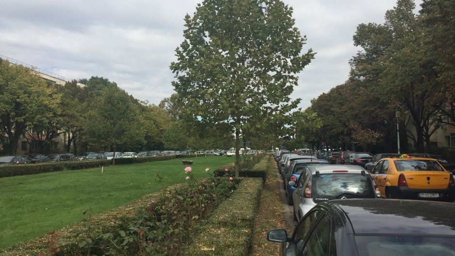 Apartament cochet Aleea Circului - Poză 11