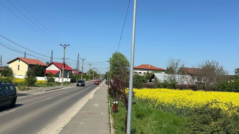 Teren intravilan 26.300 mp Saftica Balotesti-  PUZ în lucru - Poză 18