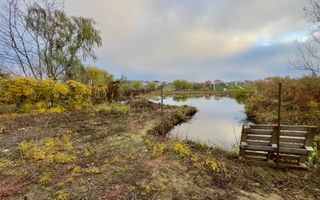 Teren Intravilan | Deschidere Lac Snagov | Ponton | Curatat | Toate utilitatile - Poză 5