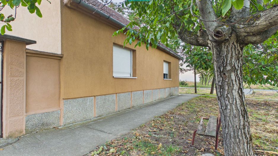 Casă  2 corpuri și 4 camere teren 1440 mp în Macea - Poză 1