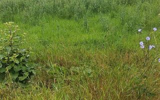 Teren pentru P+2 Alba-Micesti 3636 mp - Poză 2