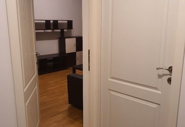 APARTAMENT SPATIOS | TUDOR VLADIMIRESCU - Poză 3