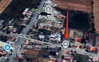 Teren pentru constructie casa, strada asfaltată, Macea - Poză 2